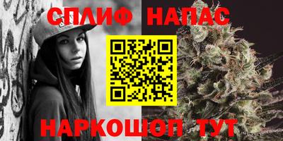 PSILOCYBIN Можга